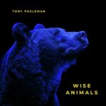 visuel de l'album Wise Animals de Tony Paeleman_Ultimes Coups De Cœur